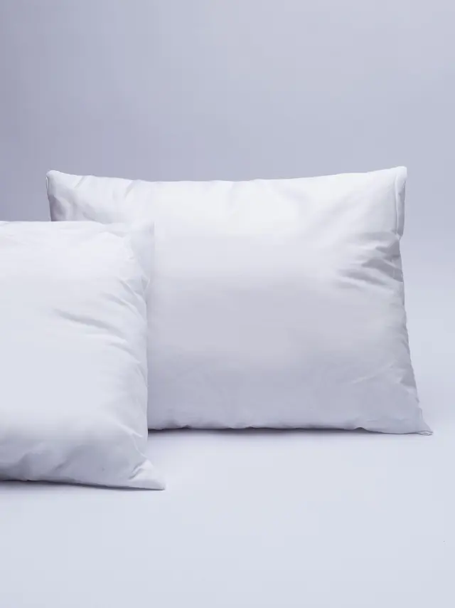 Ζεύγος Μαξιλάρια Ύπνου 50Χ70 Πουπουλένια White Comfort Palamaiki Soft Down