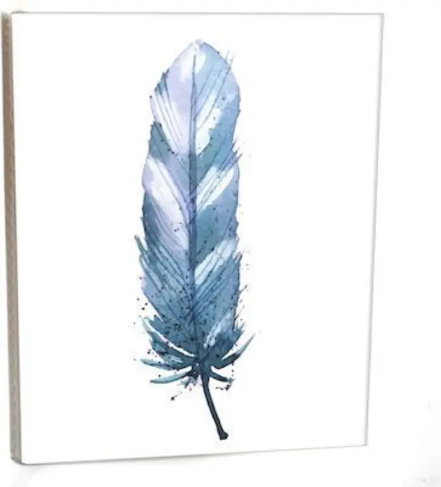 Άλμπουμ pocket με θήκες για 36 φωτογραφίες 13Χ18 FEATHER 1 (κωδ. 787)