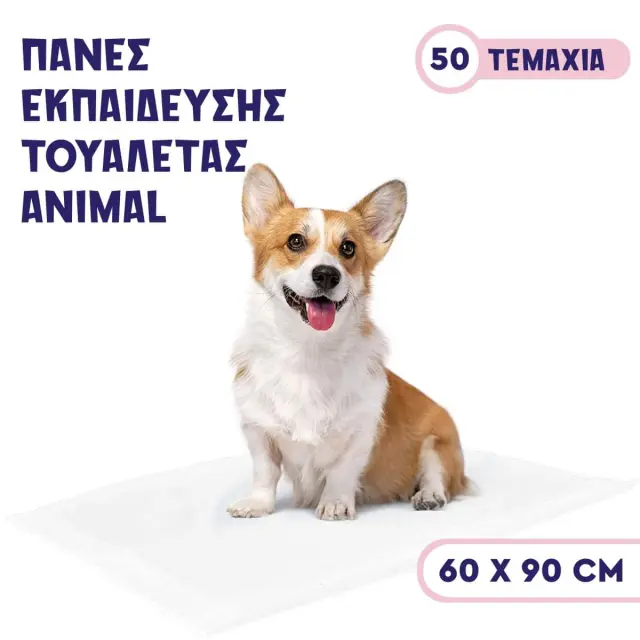 Πάνες Εκπαίδευσης 60x90 50τμ 60x90cm