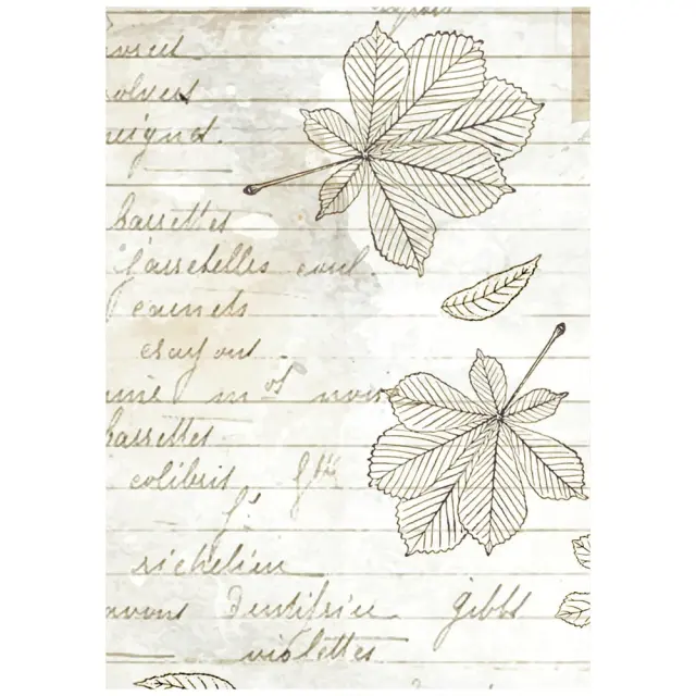Σετ 8 ριζόχαρτα ντεκουπάζ Stamperia 10.5×14.8cm, Herbarium Silvae 3