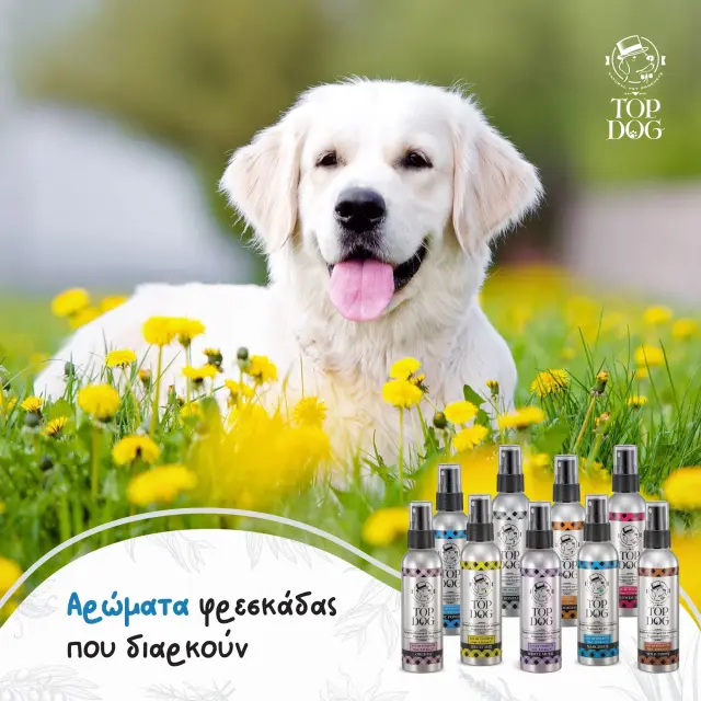 Top Dog Άρωμα White Musk 75ml 3