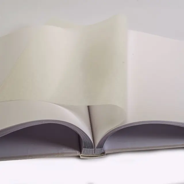 Άλμπουμ Γαμου Anais λευκό 32X32cm με 100 σελίδες με ριζόχαρτα 2