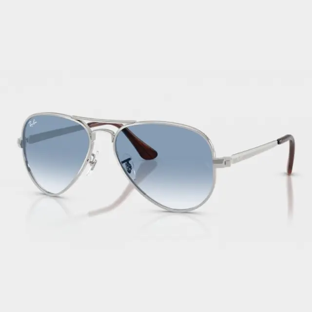 Γυαλιά Ηλίου Ray Ban Aviator Max RB3925 003/3F Ασημί - 58