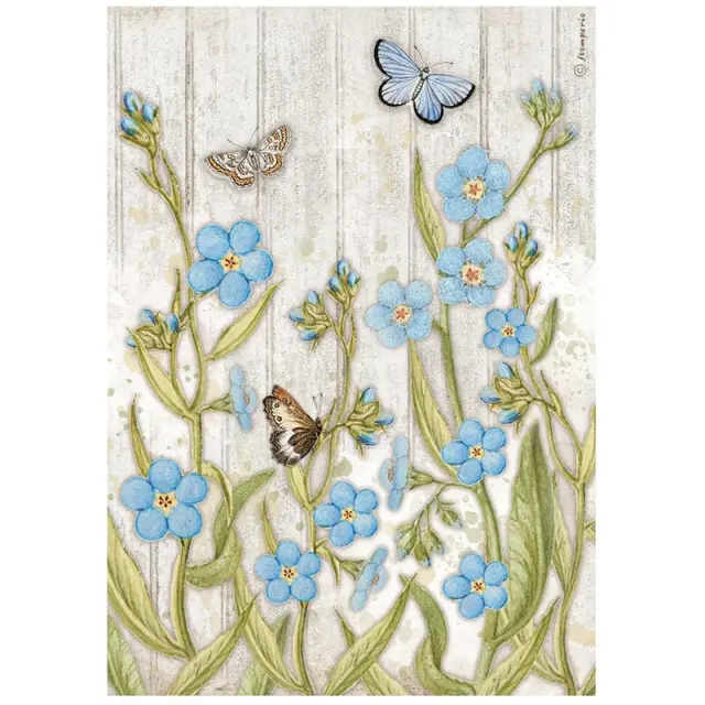 Ριζόχαρτο Stamperia 21x29cm, Romantic Garden House, Blue Flowers and butterfly