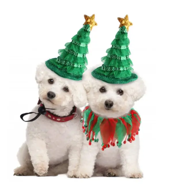 Christmas Σετ Pet Καπέλο/Κολάρο Πολύχρωμο Λαιμός:30cm-Μήκος:9cm