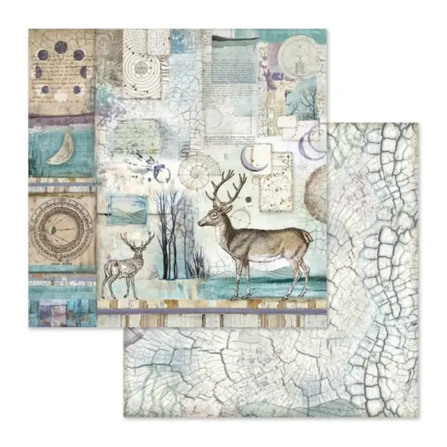 Σετ 10 Χαρτιά Scrapbooking Stamperia Διπλής Όψης - Cosmos - 30x30cm 2