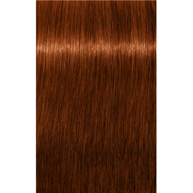 Schwarzkopf Professional Igora Royal Absolutes 6-70 Ξανθό Σκούρο Χάλκινο Φυσικό 60ml