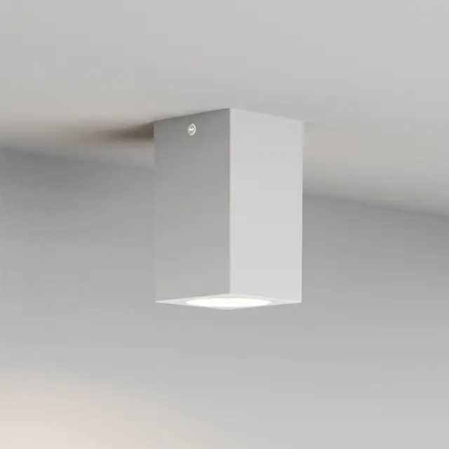 it-Lighting Cowart GU10 Outdoor Ceiling Down Light White (80300624)