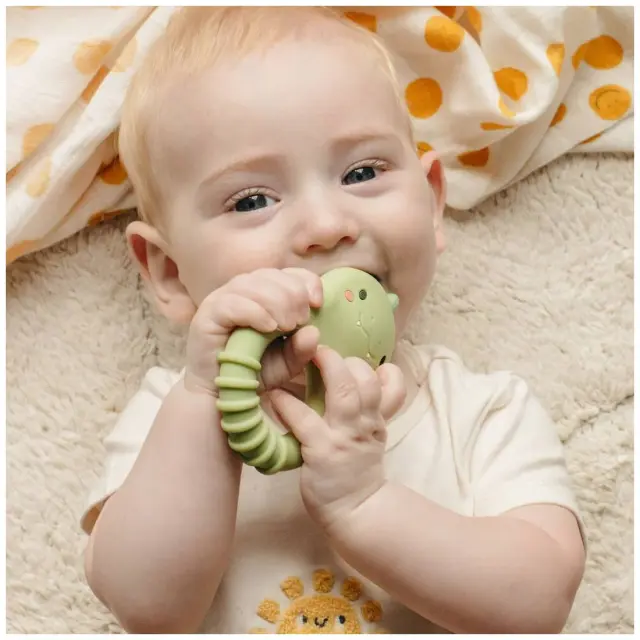 Παιχνίδι Οδοντοφυίας Tiger Tribe Silicone Teether Dino 0-18m 2