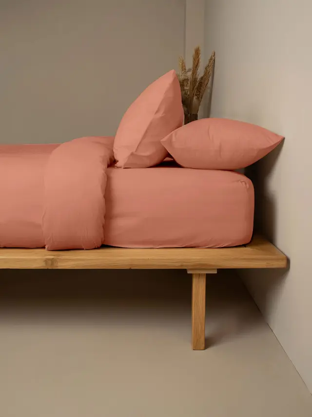 Σετ Σεντόνια Cotton Feelings 117 Peach Μονό (165x270) Sunshine 2