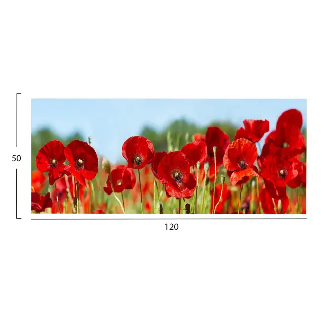 ΠΙΝΑΚΑΣ TOIXOY FB94786 ΕΚΤΥΠΩΜΕΝΟΣ ΚΑΜΒΑΣ 120x3(πάχος)x50Υεκ. 2