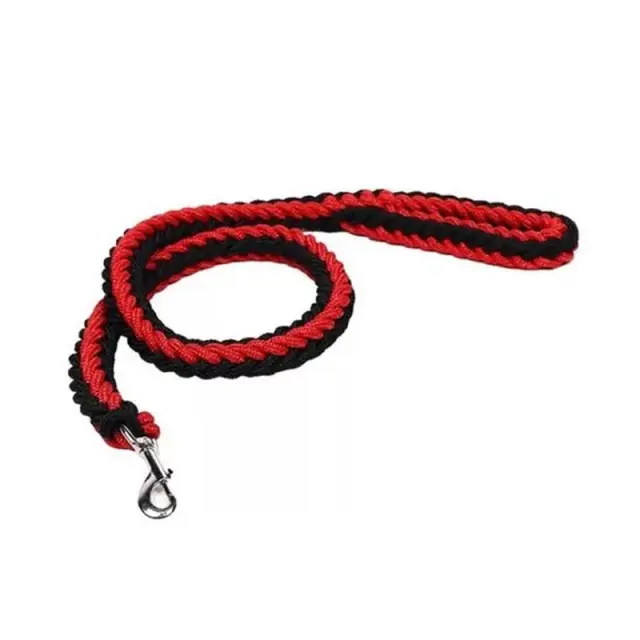 Λουρί σκύλου - Dog leash Z699401 2