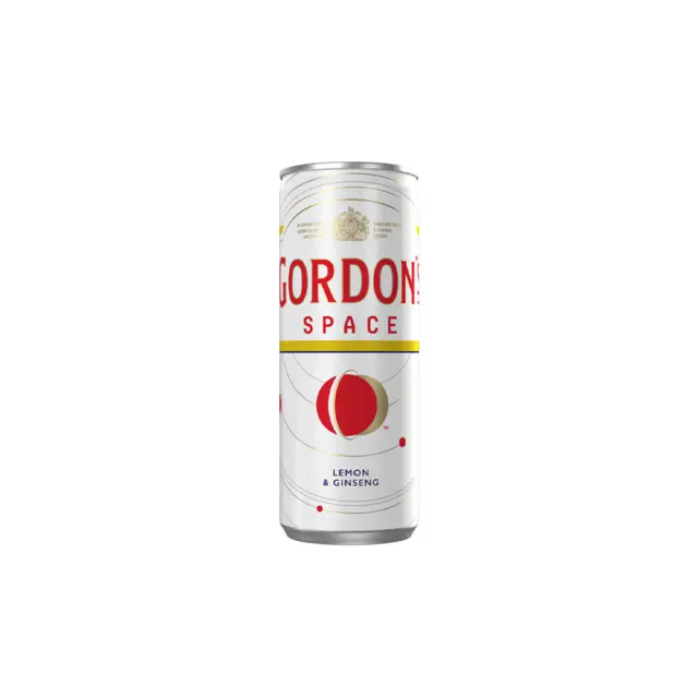 GORDON`S SPACE ΚΟΥΤΙ 255ml