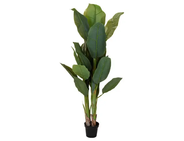 Tεχνητό φυτό σε γλάστρα Μπανανιά - 165cm 318000690