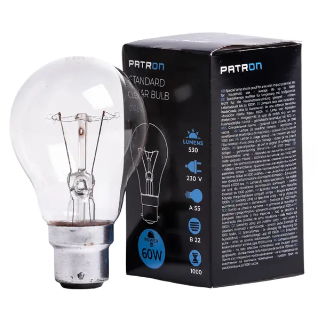 Incandescent Bulb B22 60W A55 230V CL