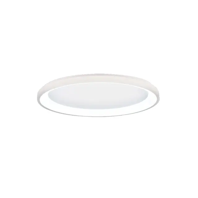 Inlight Πλαφονιέρα οροφής LED 28W 3CCT από λευκό μέταλλο και ακρυλικό D:60x5cm (42044-B-White)