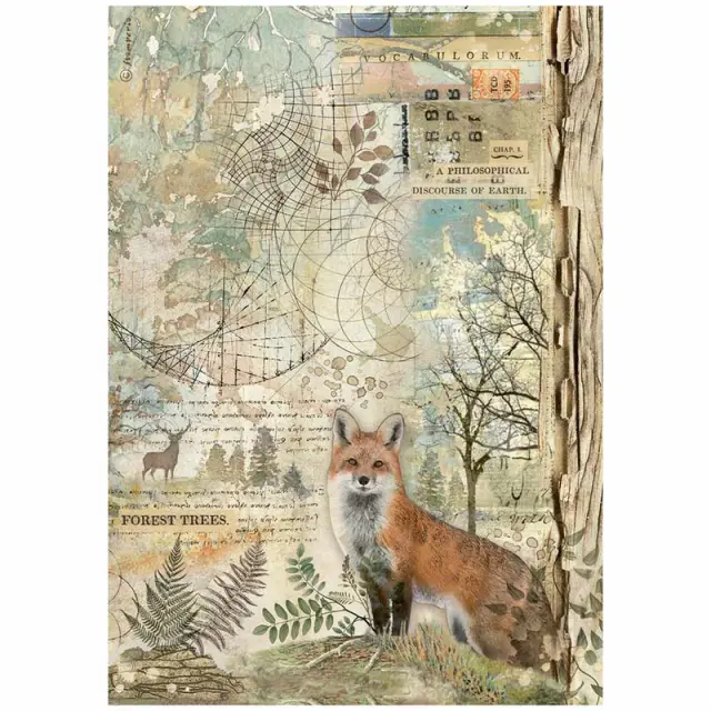 Ριζόχαρτο ντεκουπάζ Stamperia 21x29cm A4, Forest, Fox