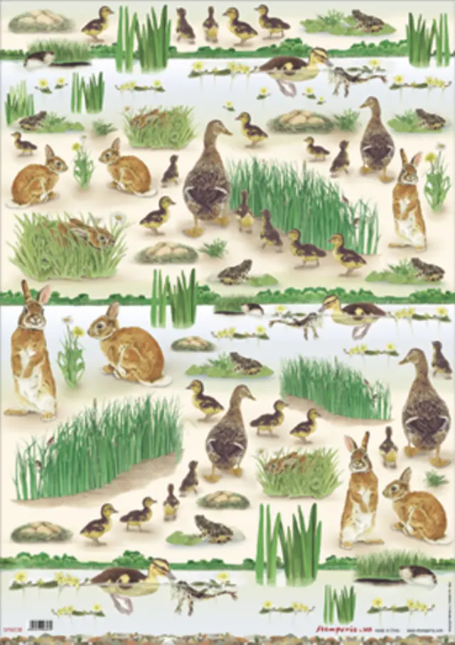 Χαρτί για decoupage 50x70cm Rabbits and Ducks