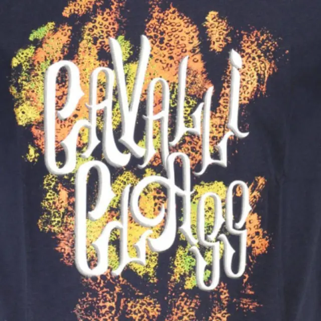 T-Shirt Cavalli Class QXT61M-JD060-04926 Μπλε - 2XL 3