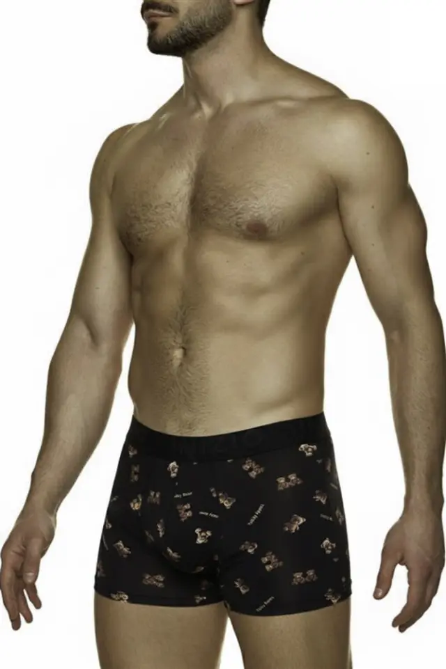 Ανδρικό μποξεράκι με σχέδιο Teddy Bear 3