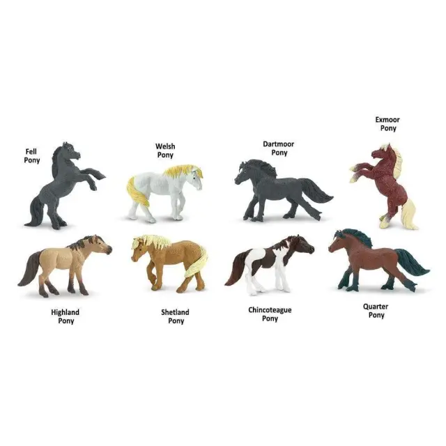 Safari Ltd Μινιατούρες Ponies TOOB Πόνυ (3+ ετών) 681104 2