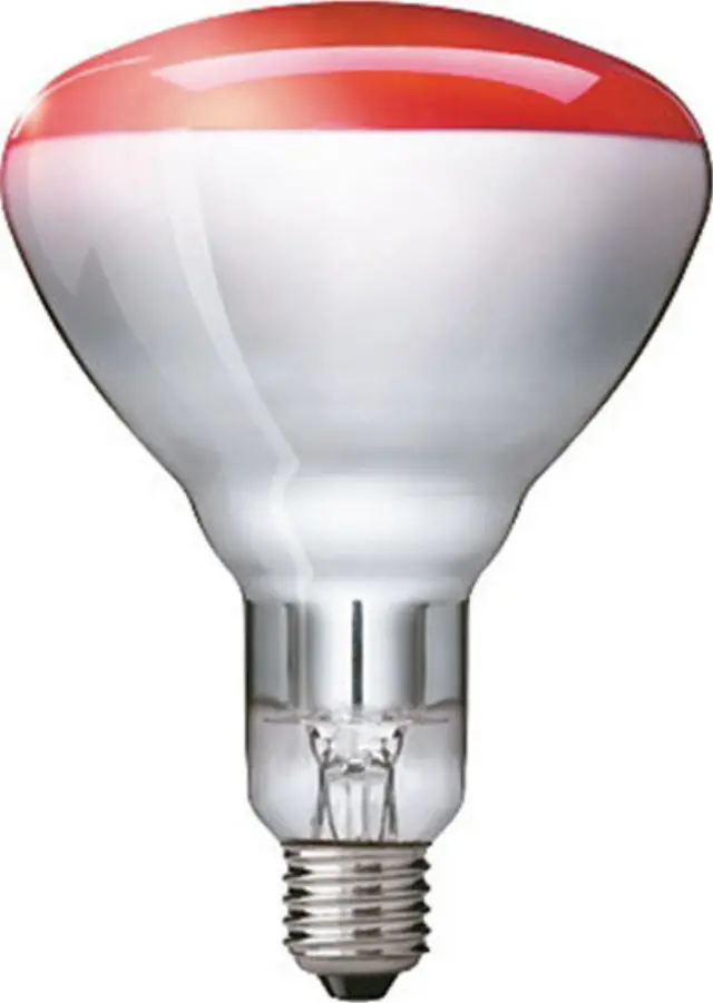 BR125 IR 250W E27 230-250V Red 1CT/10