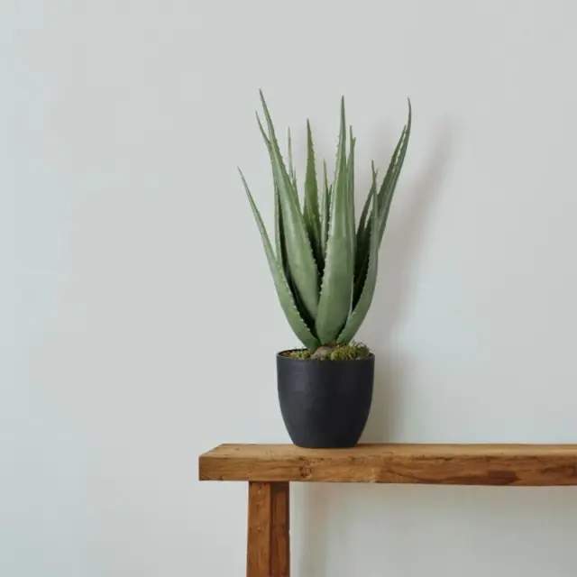 GloboStar® Aloe 20066 Τεχνητό Διακοσμητικό Φυτό Αλόη Y65cm Μαύρο Πράσινο
