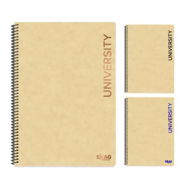Skag Τετράδιο Σπιράλ University Plus Α4 2Θ 100φ/ 312868 (Skag)