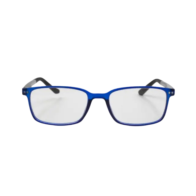 Frog Optical Γυαλιά Πρεσβυωπίας F238 Χρώμα Μπλε/Γκρι +1.00