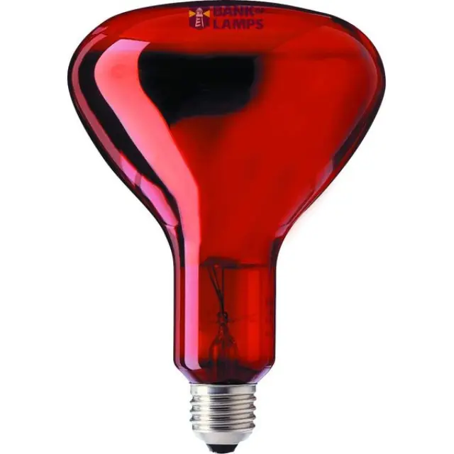 Special Standart Lamp 100W E27 R95 RED Infrared Incandescent Industrial Heat