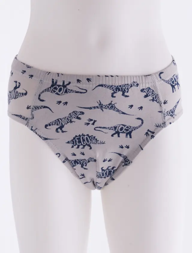 Slip Kid Dinosaurs Γκρι