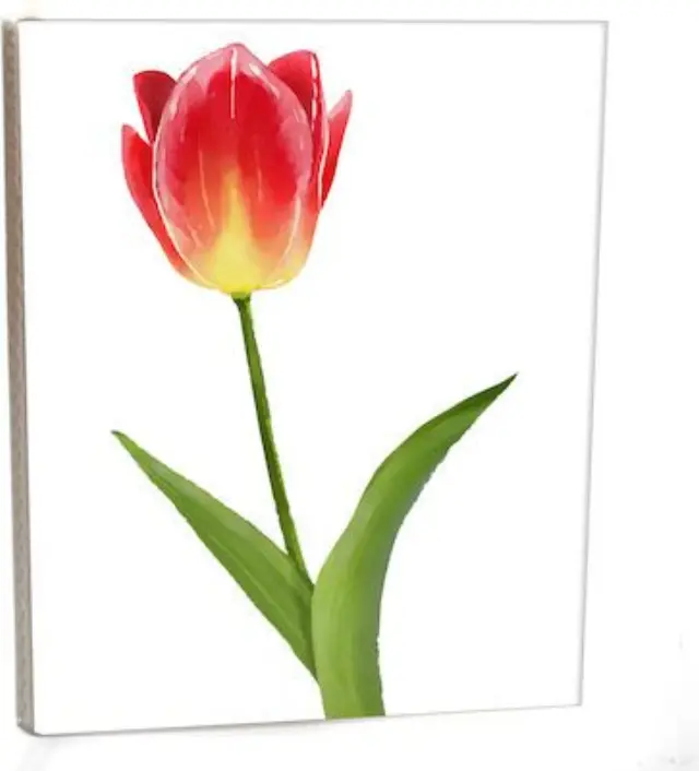 Άλμπουμ pocket με θήκες για 40 φωτογραφίες 15Χ21 TULIP