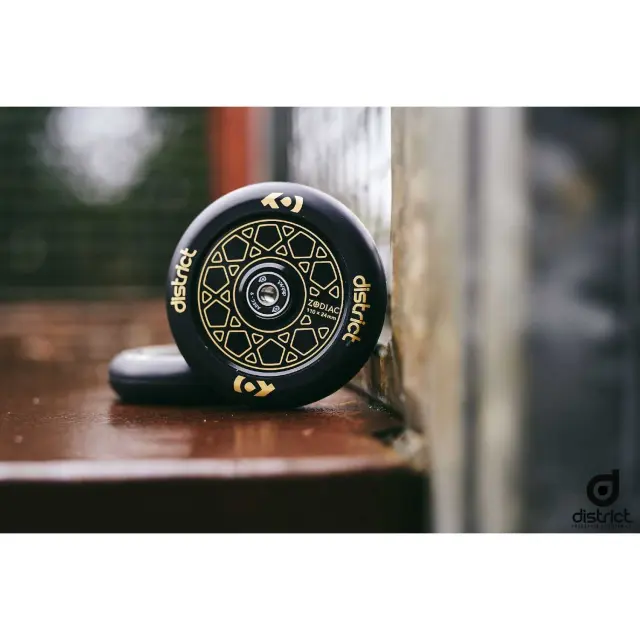 DISTRICT Zodiac Wheel 110 - Gold 3