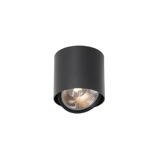 Hana Φωτιστικό οροφής GU10/R111 ø13.2x12cm κινητό μαύρο