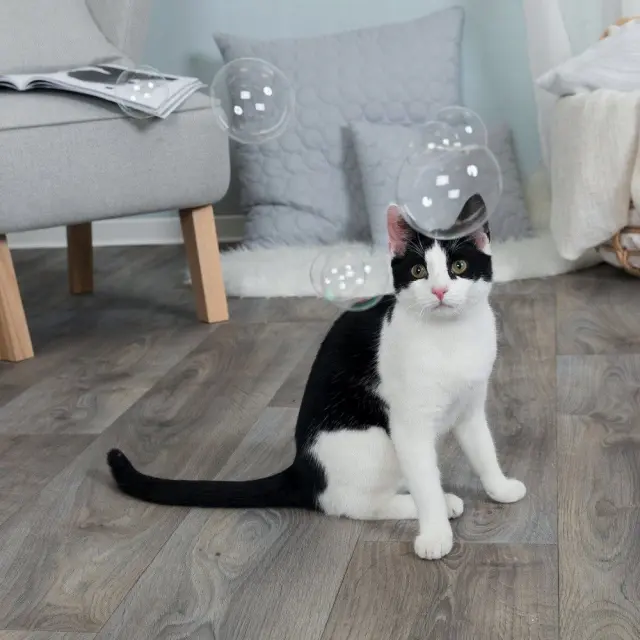 Trixie Παιχνίδι Catnip Φυσαλίδες 120ml 2