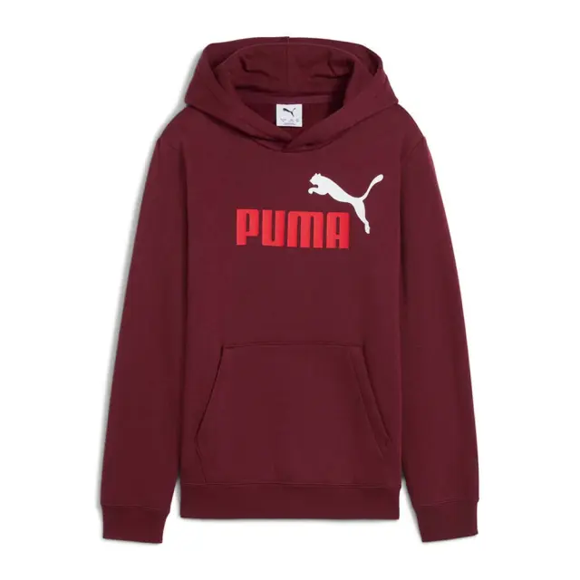 Puma Boy's Essentials 2 Color No1 Logo Fleece Hoodie Μπορντό 685822-96 (Puma) - 152