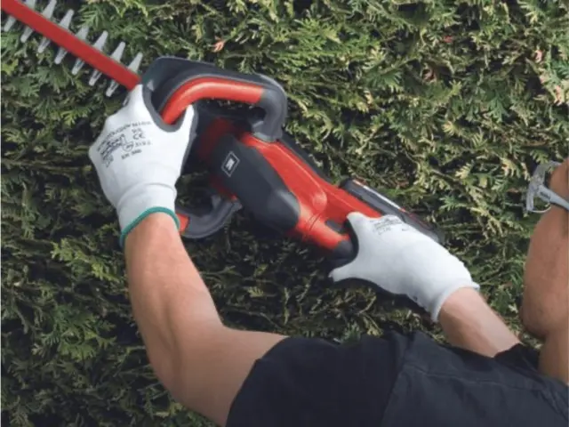 Einhell 3410642 - Μπορντουροψάλιδο Μπαταρίας με Μήκος Λάμας 46cm GC-CH 1846 (Χωρίς Μπαταρία - Φορτιστή) 3