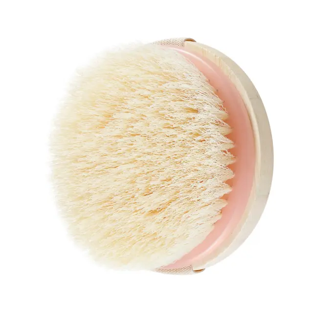 EcoTools Στεγνή Βούρτσα Σώματος Dry Body Brush
