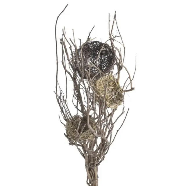 Κλαδιά με φωλιές, 40cm