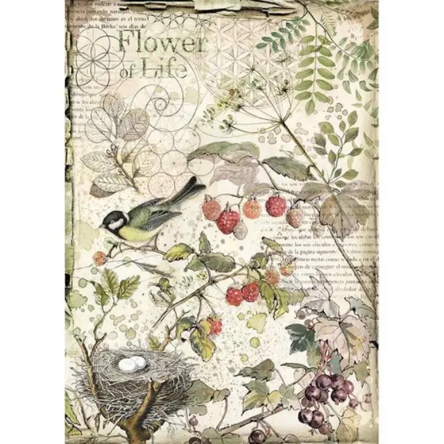 Ριζόχαρτο Stamperia 21x29cm A4, Forest flowers and fruits