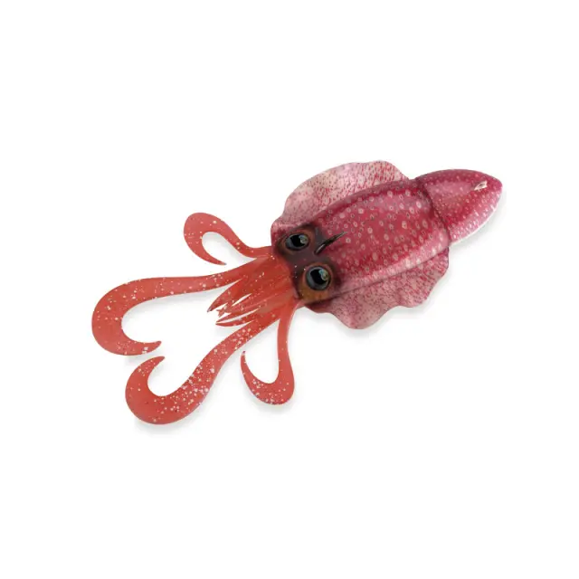 Σουπιά Akami Sepiade 120gr Red Shrimp