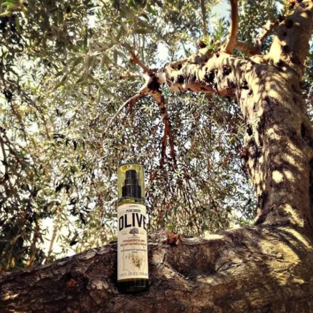 ΚΟΡΡΕΣ Olive Αντιγηραντικό Λάδι Σώματος Ελιά + Άνθη Ελιάς 100ml 2