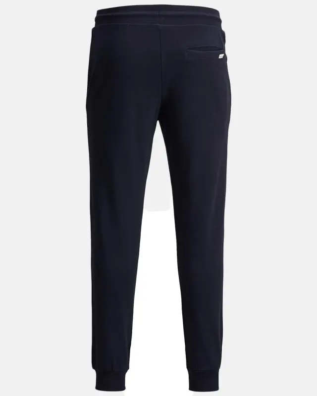 JACK & JONES JJIGORDON JJSHARK SWEAT PANTS #1d1d29 2