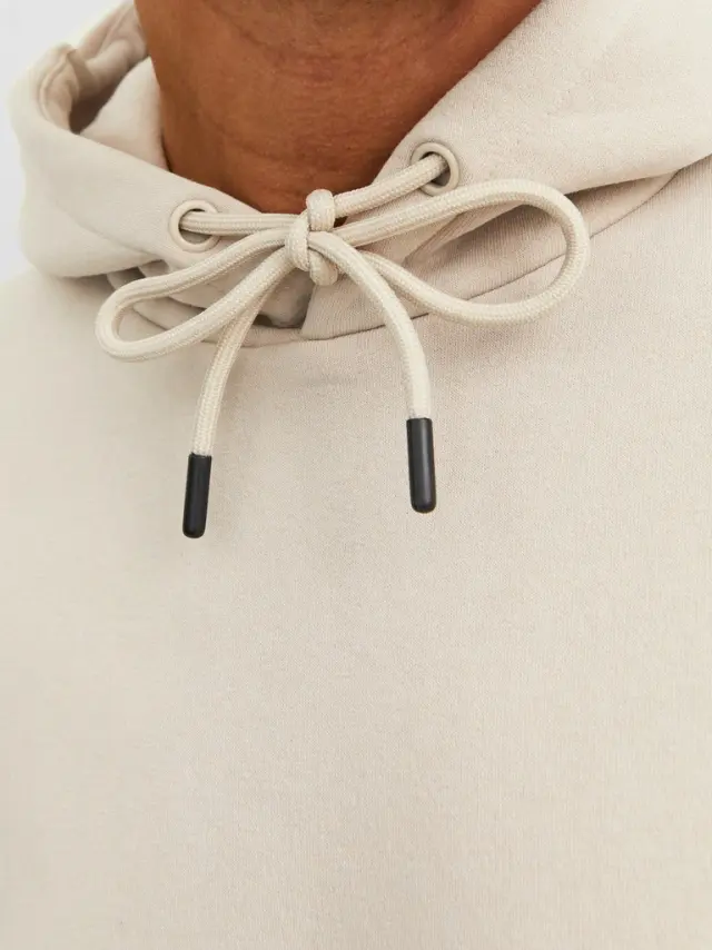 JJEBRADLEY SWEAT HOOD NOOS - Moonbeam 3