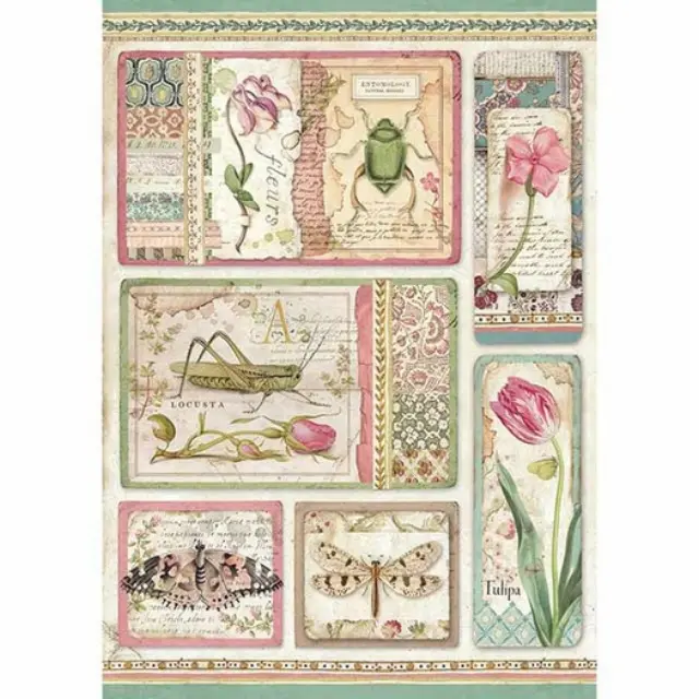 Ριζόχαρτο Stamperia 21x29cm A4, Botanic Cards