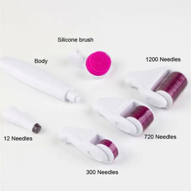 Derma Roller Σετ 6 σε 1 Βελόνες Τιτανίου 0.5-2mm 3