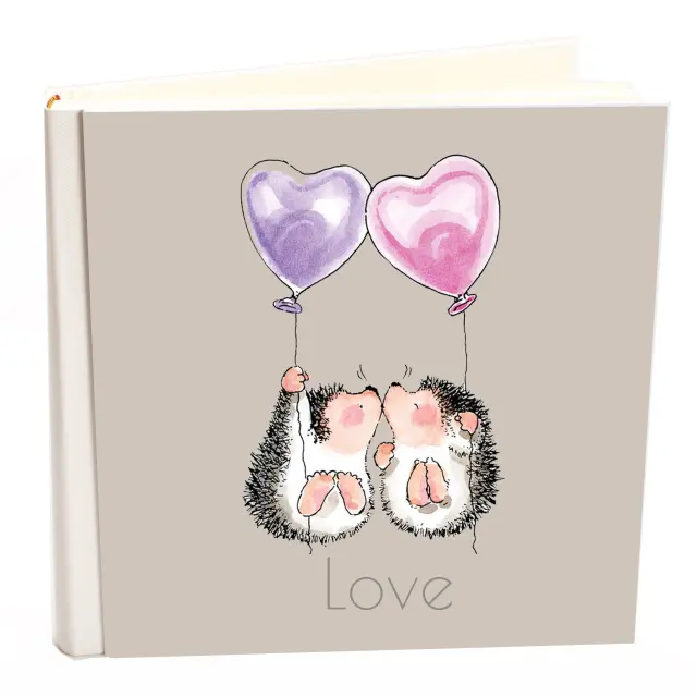 Άλμπουμ my album Love σκαντζοχοιράκια άλμπουμ με ριζόχαρτο 35x35cm και κουτί άλμπουμ