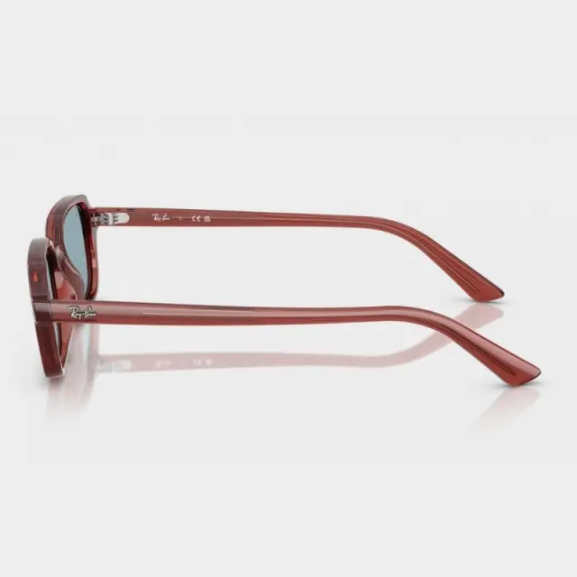 Γυαλιά Ηλίου Ray Ban RB4455 680980 Καφέ - 49 3