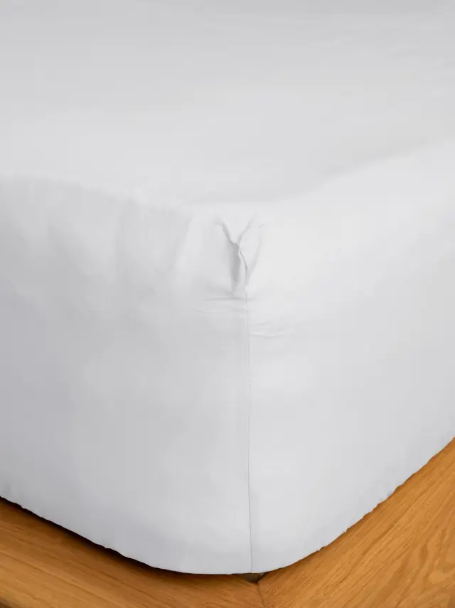 Κατωσέντονο Cotton Feelings με λάστιχο 100 White Ημίδιπλο (120x200+30) Sunshine