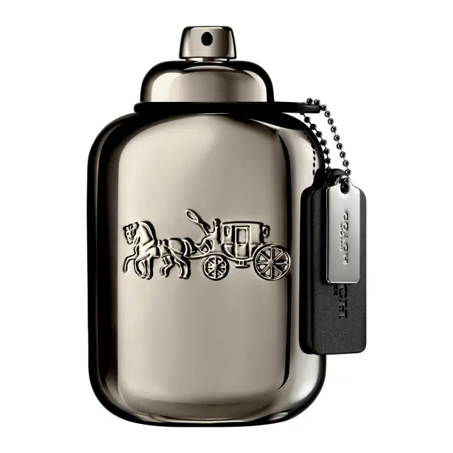 Coach Man Pure Platinum Ανδρικό Άρωμα Parfum 100ml